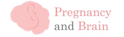 Logo Pregnancy and Brain5